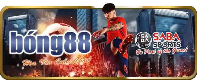 Ưu Đãi Chào Mừng Thành Viên Mới y088 Chính Thức